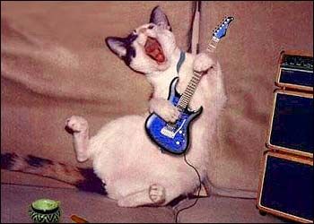 waaaaaaaaaaaaaah